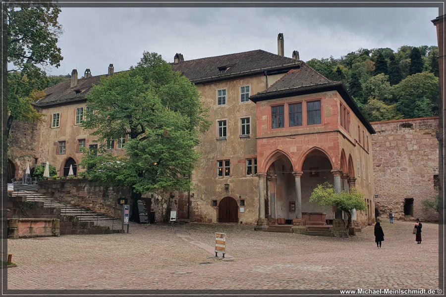 Heidelberg2020_041